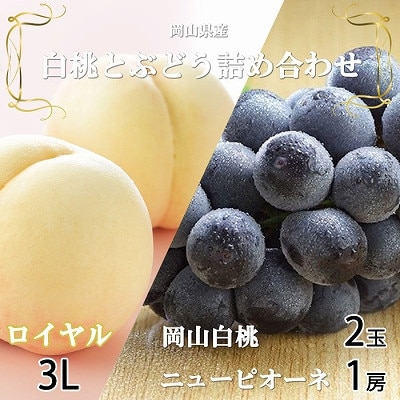 【先行受付】岡山県産　岡山白桃ロイヤル3Lサイズ300g×2玉・ニューピオーネ600g×1房　詰合せ【配送不可地域：離島・北海道・沖縄県】
