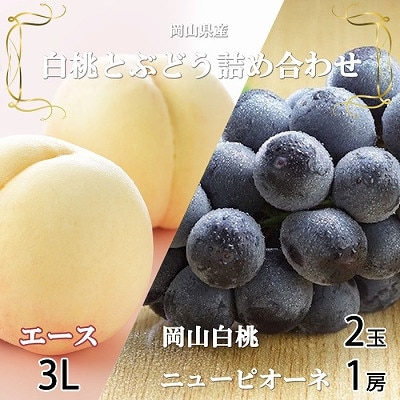 【先行受付】岡山県産　岡山白桃エース3Lサイズ300g×2玉・ニューピオーネ600g×1房　詰合せ【配送不可地域：離島・北海道・沖縄県】