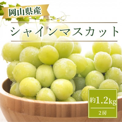 【2025年お届け】岡山県産 シャインマスカット  約1.2kg(2房)【配送不可地域：離島】