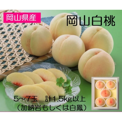 ◆先行受付◆　岡山県産　岡山白桃5～7玉(1)　2026年発送【配送不可地域：離島・北海道・沖縄県】