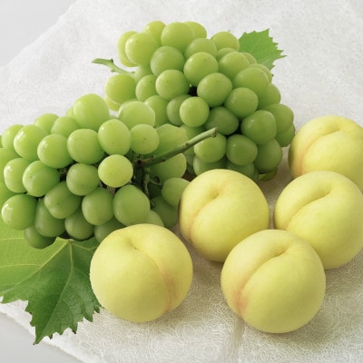 ◆先行受付◆　岡山白桃とシャインマスカット　2026年発送【配送不可地域：離島・北海道・沖縄県】