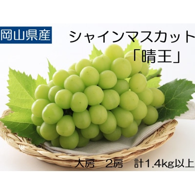 ◆先行受付◆    秋のシャインマスカット「晴王」2房　2026年発送　【配送不可地域：離島・北海道・沖縄県】