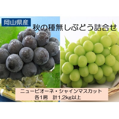 ◆先行受付◆　岡山県産　秋の種無しぶどう詰合せ　2026年発送【配送不可地域：離島・北海道・沖縄県】