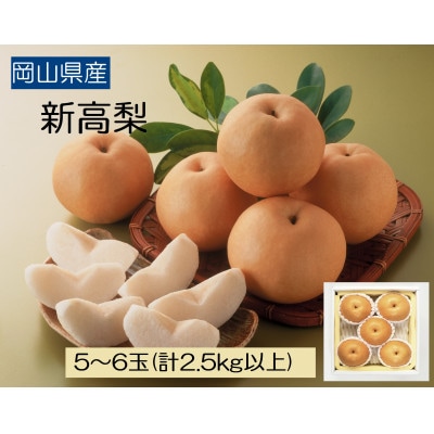◆先行受付◆　岡山県産　新高梨　2025年発送【配送不可地域：離島】