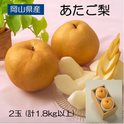 ◆先行受付◆　岡山県産　あたご梨　2025年発送【配送不可地域：離島】
