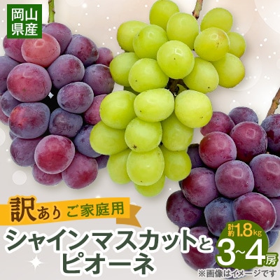 【2026年9月下旬発送】訳ありシャインマスカットとピオーネ詰合せ 3～4房 1.8kg ご家庭用