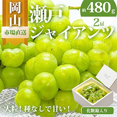 【先行受付】岡山県産　瀬戸ジャイアンツ2房　(1房480g以上)合計約1kg　化粧箱入り【配送不可地域：離島・北海道・沖縄県】