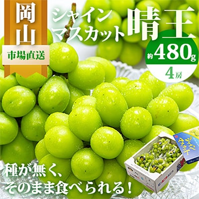 【先行受付】岡山県産　シャインマスカット『晴王』4房(1房480g以上・合計約2kg)　【配送不可地域：離島・北海道・沖縄県】
