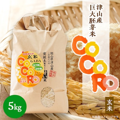 【突鉱土育ち】巨大胚芽米CoCoRo 5kg