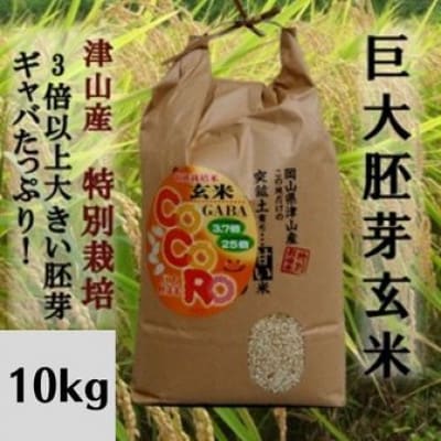 【突鉱土育ち】巨大胚芽米CoCoRo 10kg