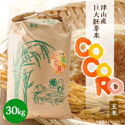 【突鉱土育ち】巨大胚芽米CoCoRo 30kg