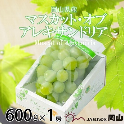 【2026年6月下旬より順次発送】岡山県産 マスカット・オブ・アレキサンドリア 600g×1房【配送不可地域：離島・北海道・沖縄県】