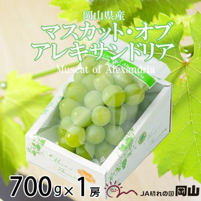 【2026年6月下旬より順次発送】岡山県産 マスカット・オブ・アレキサンドリア 700g×1房【配送不可地域：離島・北海道・沖縄県】