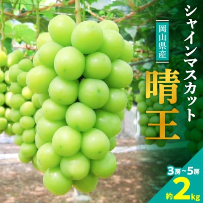 【2026年発送】岡山名産【晴王】シャインマスカット2kg!8月下旬以降順次発送【配送不可地域：離島】