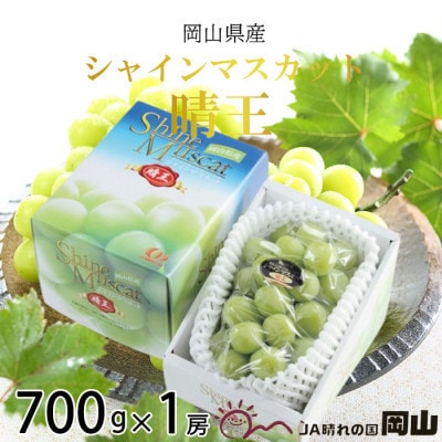 【2026年7月中旬より順次発送】岡山県産 シャインマスカット 晴王 700g×1房【配送不可地域：離島・北海道・沖縄県】