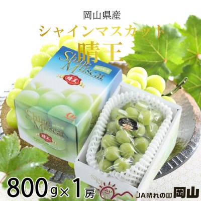 【2026年7月中旬より順次発送】岡山県産 シャインマスカット 晴王 800g×1房【配送不可地域：離島・北海道・沖縄県】