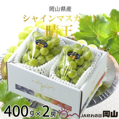 【2026年7月中旬より順次発送】岡山県産 シャインマスカット 晴王 400g×2房【配送不可地域：離島・北海道・沖縄県】