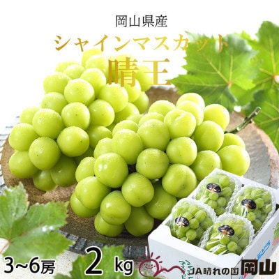 【2026年7月中旬より順次発送】岡山県産 シャインマスカット 晴王 2kg(3房～6房)【配送不可地域：離島・北海道・沖縄県】