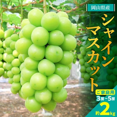 【2026年発送】訳あり!シャインマスカット約2kg!8月中旬～順次発送【人気の岡山産ぶどう】【配送不可地域：離島】