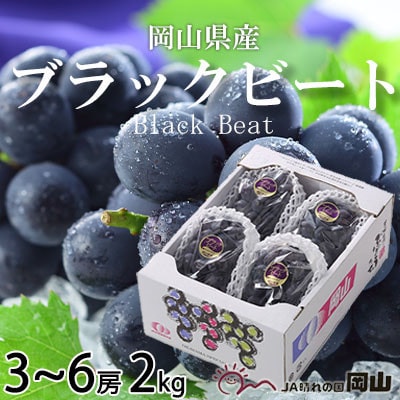 【先行受付】岡山県産　ブラックビート　2kg(3房～6房)【配送不可地域：離島・北海道・沖縄県】