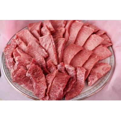 つやま和牛焼肉セット(3～4人用)800g【配送不可地域：離島】