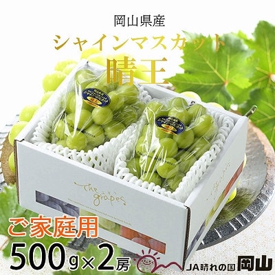 【2025年8月より発送予定】ご家庭用　岡山県産　シャインマスカット　晴王　500g×2房【配送不可地域：離島】