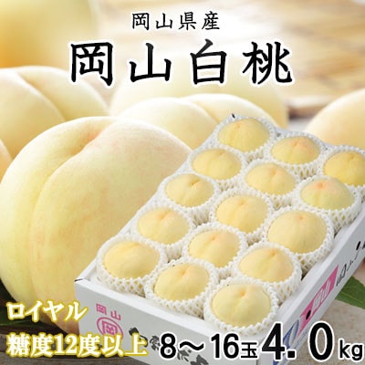 【先行受付】岡山白桃 ロイヤル 8～16玉 4.0kg 岡山県産【配送不可地域：離島・北海道・沖縄県】