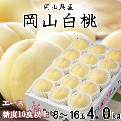 【先行受付】岡山白桃 エース 8～16玉 4.0kg 岡山県産【配送不可地域：離島・北海道・沖縄県】