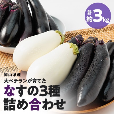 2024年発送　食卓の新しい定番!なす栽培歴50年の大ベテランが育てたなすの詰め合わせセット