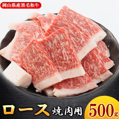【岡山県産黒毛和牛】ロース　500g　(焼肉用)【配送不可地域：離島】