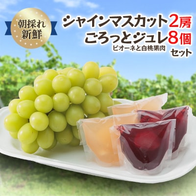 【2026年度発送分】朝採れ新鮮シャインマスカット2房＆ピオーネと白桃果肉ごろっとジュレセット【配送不可地域：離島・北海道・沖縄県】