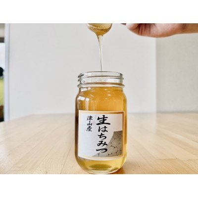 自然が生んだスーパーフード　生はちみつ　200g×3本(津山産)