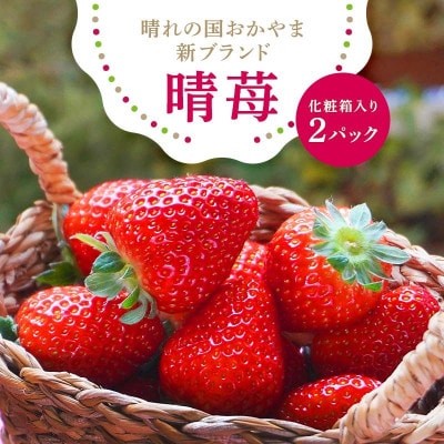 先行受付2026年1月以降発送　晴れの国おかやま新ブランド「晴苺」化粧箱入り2パック【配送不可地域：離島・北海道・沖縄県】