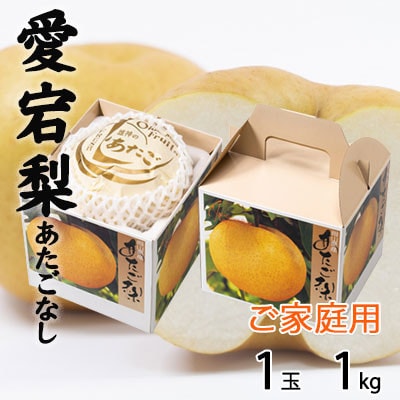 ご家庭用 岡山県産 あたご梨 1玉 1kg【配送不可地域：離島】