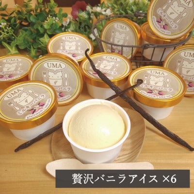 スイーツ専門店の作るこだわりアイスクリーム6個セット　バニラアイス　各90ml入り【配送不可地域：離島】