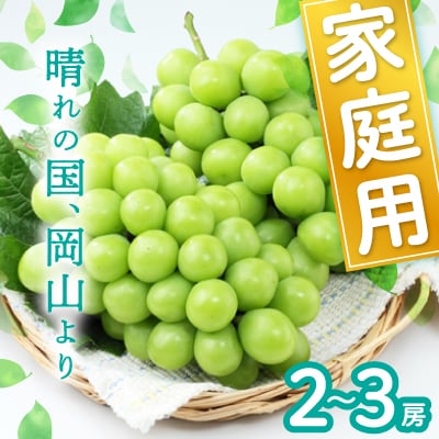 岡山県産シャインマスカット(ご家庭用)【2026年9月中旬以降発送予定】【配送不可地域：離島】