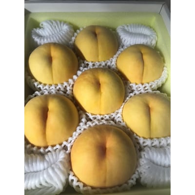 【2026年先行予約】8月上旬頃より発送予定・岡山県産・マンゴーの様な黄色い桃・黄金桃(2kg箱)【配送不可地域：離島】