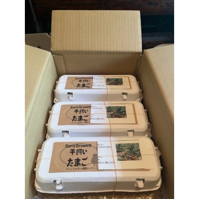 津山市産・平飼い卵25個+割れ保証5個