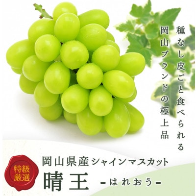 【先行受付】岡山県産 シャインマスカット『晴王』 3～5房 (約2kg)【配送不可地域：離島・北海道・沖縄県】