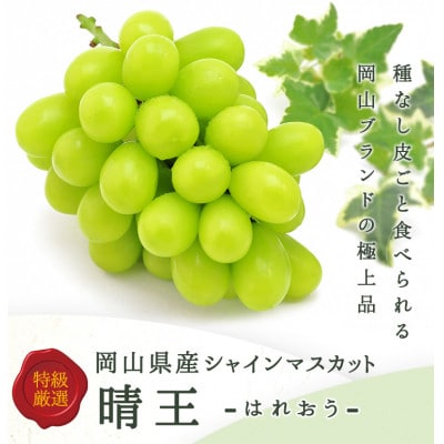 【先行受付】岡山県産 シャインマスカット『晴王』2房(1房480g以上) 化粧箱入り【配送不可地域：離島・北海道・沖縄県】
