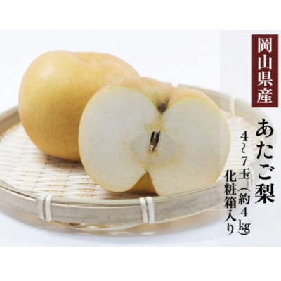 岡山県産 あたご梨 4～7玉(約4kg) 化粧箱入り【配送不可地域：離島・北海道・沖縄県】
