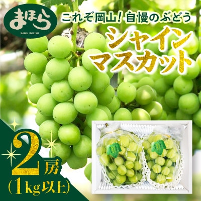 【2026年度発送分】早起き農家の直送便　お土産シャインマスカット2房【配送不可地域：離島・北海道・沖縄県】