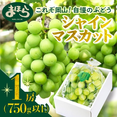 【2026年度発送分】早起き農家の直送便　上出来シャインマスカット1房【配送不可地域：離島・北海道・沖縄県】