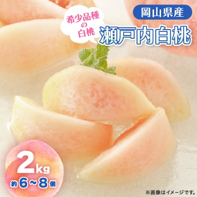 【2026年・先行予約】2026年8月下旬頃より発送予定・岡山の白桃・瀬戸内(2kg箱)【配送不可地域：離島】