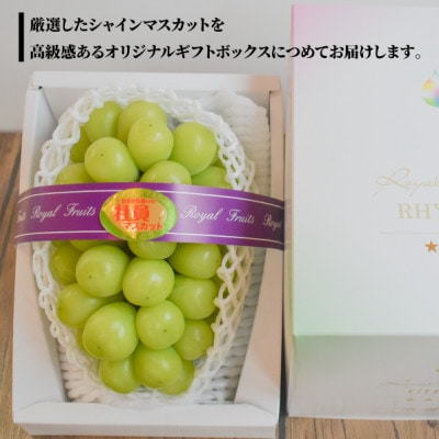 【2026年先行予約】【厳選品】大粒シャインマスカット1房/700g以上(岡山県産)【配送不可地域：離島】