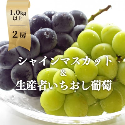 【2026年先行予約】シャインマスカット＆生産者いちおし葡萄 2房合わせて/約1kg～(岡山県産)【配送不可地域：離島】