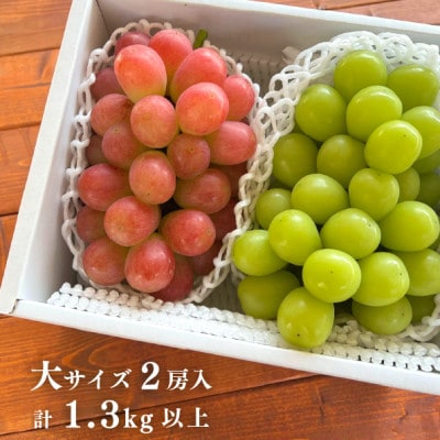 【2026年先行予約】シャインマスカット＆生産者いちおし葡萄 大サイズ2房/1.3kg～(岡山県産)【配送不可地域：離島】