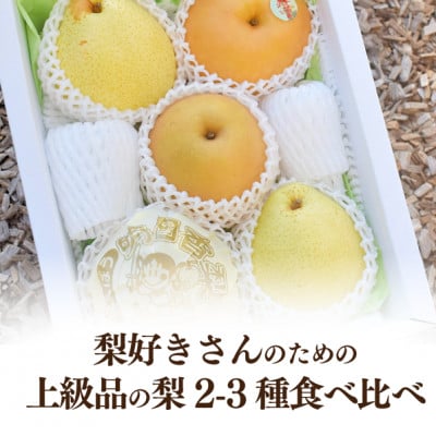 【2026年先行予約】梨好きのための、梨2-3種 食べ比べ 上級品 5-7玉(岡山県産)