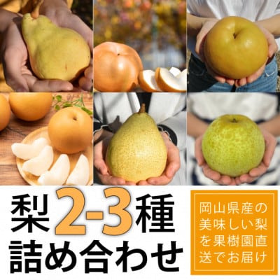 【2026年先行予約】梨好きのための、梨2-3食べ比べ ご家庭用 5-7玉(岡山県産)
