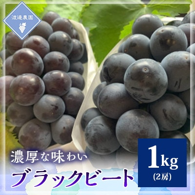 【先行予約 2026年発送】岡山県産　アントシアニン豊富な　ブラックビート　2房(合計約1kg)【配送不可地域：離島】